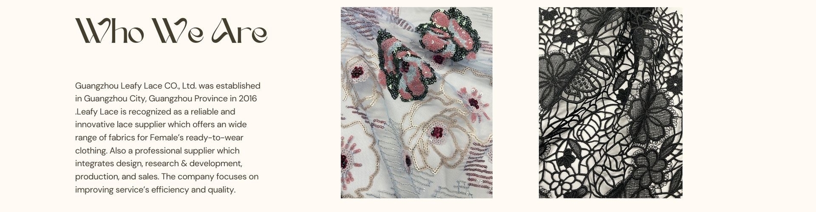 τρισδιάστατο Floral ύφασμα δαντελλών