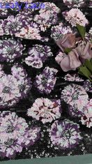 Μέσα Tulle Sequin κεντημένο ύφασμα 49 ίντσες λουλούδια για γυναίκες φορούν