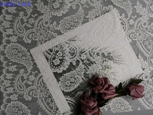 Ελαφρύ γαλλικό ύφασμα δαντελλών Chantilly Paisley άσπρο νυφικό