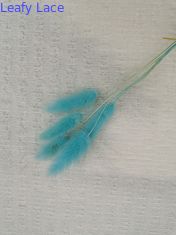 Crinkle ελεφαντόδοντου φυσαλίδων πλεκτό δαντέλλα ύφασμα τεντωμάτων