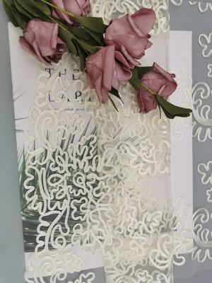 Ivory Poly Embroidery Crochet Lace Fabric For Girl Dress