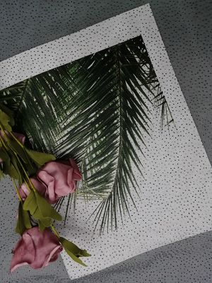 Το μαύρο σημείο κόμματος ακτινοβολεί τυπωμένο φύλλο αλουμινίου ύφασμα πλέγματος του Tulle