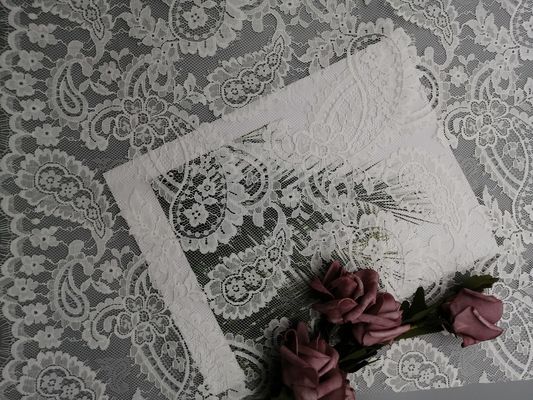Ελαφρύ γαλλικό ύφασμα δαντελλών Chantilly Paisley άσπρο νυφικό