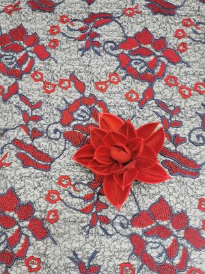 Κόκκινο μεγάλο Floral χρωματισμένο θηλυκό φόρεμα υφάσματος δαντελλών τσιγγελακιών κεντητικής