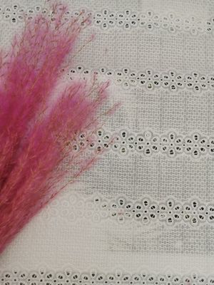 Γραμμικό κεντημένο Broderie ύφασμα νυχτικών βαμβακιού υφάσματος 100% οπών