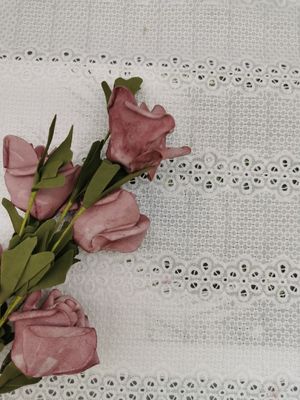 Γραμμικό κεντημένο Broderie ύφασμα νυχτικών βαμβακιού υφάσματος 100% οπών