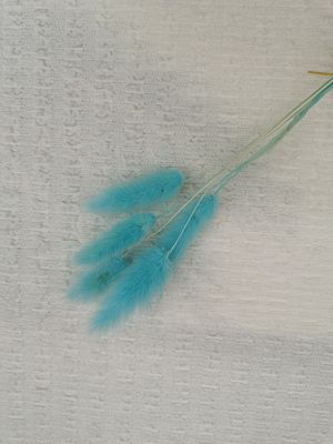 Crinkle ελεφαντόδοντου φυσαλίδων πλεκτό δαντέλλα ύφασμα τεντωμάτων