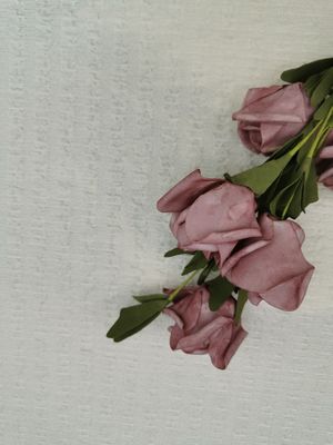 Crinkle ελεφαντόδοντου φυσαλίδων πλεκτό δαντέλλα ύφασμα τεντωμάτων