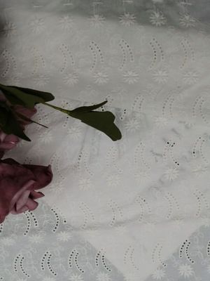 Μαλακό κεντημένο δαντέλλα ύφασμα βαμβακιού υφάσματος οπών για το φόρεμα κόμματος